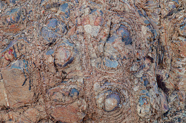 Color rock close up. Natural forms in stone structure. Background, texture. - 322964254