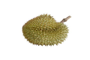 Durian with white background