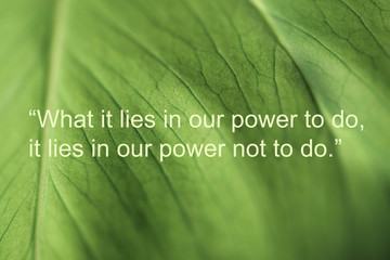 Wise quote by the ancient Greek philosopher Aristotle against nature background