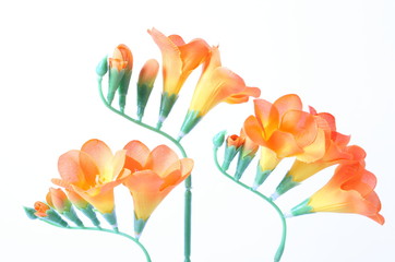 Decoration artificial flower on white background