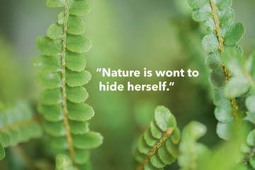 Naklejka premium Wise quote by ancient Greek philosopher Heraclitus against nature background