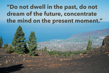 Wise quote by the Buddha against natural landscape. Original image also available. 