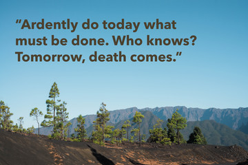 Wise quote by the Buddha against natural landscape. Original image also available. 