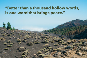 Wise quote by the Buddha against natural landscape. Original image also available. 