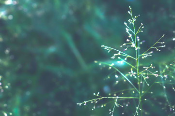 abstract background with lots of light spots