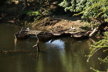Naklejka na ściany i meble park views with river and canals around angkor watt in cambodia