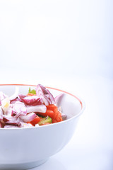 spring azalea bud in a botanical garden