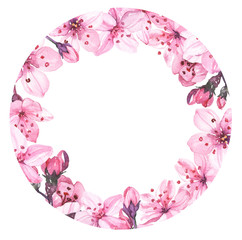 Watercolor hand painted sakura cherry blossom flowers illustration circle border frame