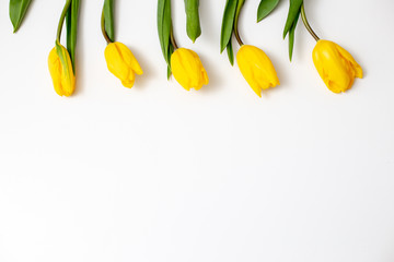 Five flowers of yellow tulips lie on a white background at the top of the frame smoothly, rhythmically