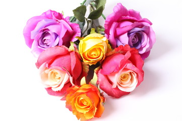 Beautiful colorful roses isolated on white