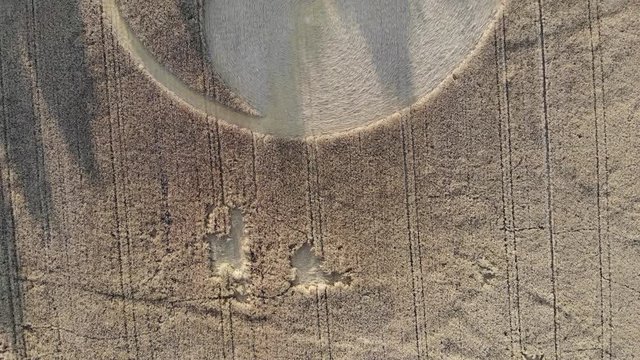 Crop circles central Poland