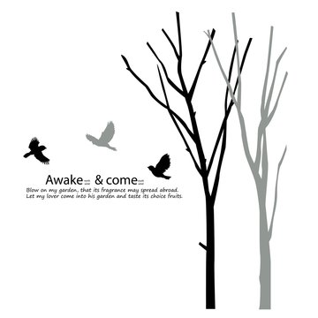 The beautiful tree with the quote