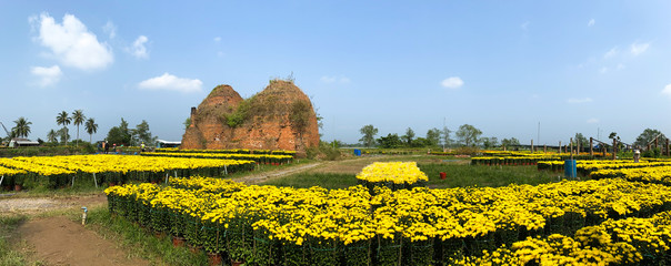 Ancient brickyard with Marigold flower field