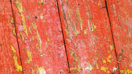 red wood background