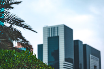 Fototapeta na wymiar View at palms and high rise buildings