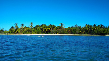 tropical island in the sea