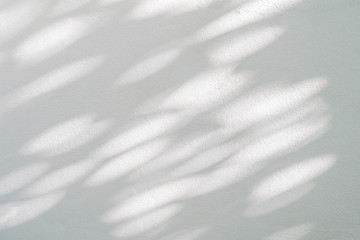 Fototapeta premium Nature gray shadow and light abstract background. Leaf and tree shadows bokeh with sunlight on white concrete wall