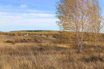 Two young birch trees in the Golden decoration of autumn stand in the wind against the background of the forest, buildings and blue sky