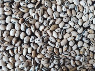 coffee beans background