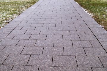 gray paving path in the park
