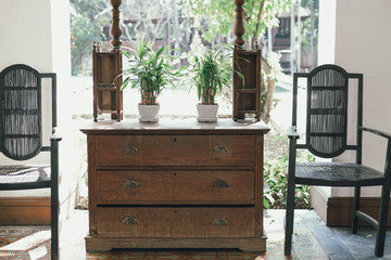 plant pot on wooden cabinet. chair in living room terrace. home interior