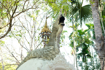 white Thai naka naga statue in park