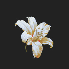 Colorful flower on dark background,Flowers watercolor illustration,leaves and floral，Design for textile, wallpapers