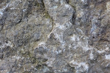 A close view of the smooth rock surface.