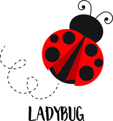 Obraz na płótnie Canvas Red Ladybug
