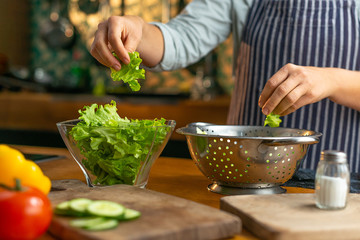 Close up of female chef hands tearing fresh leaves of lettuce from a sieve to a glass bowl in a rustic type kitchen.