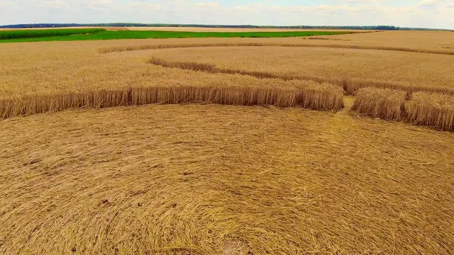 Crop circles at close range