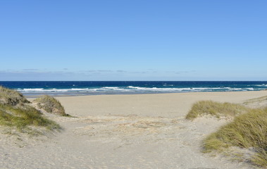 Fototapeta na wymiar Beach with sand dunes and wild sea with waves breaking on a sunny day. Arteixo, Coruña, Galicia, Spain.