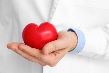 Male cardiologist with red heart, closeup