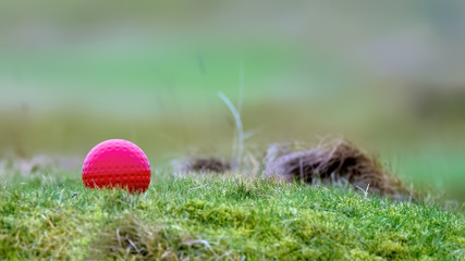 Golf course red Tee marker in grass and moss against a soft green background