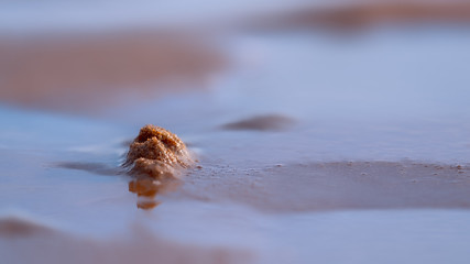 Face in the wet sand of a beach as the tide goes out