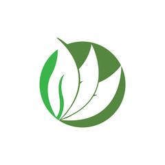 green leaf ecology nature element