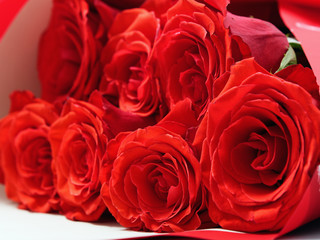 Bouquet of fresh roses, flower bright background.