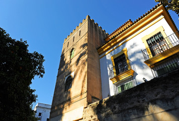 The famous Santa Cruz neighborhood in Seville, Andalusia, Spain