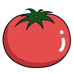  illustration of tomato