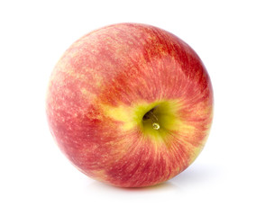 Red apple closeup  on white background.