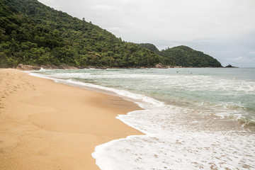 Urwald am Meer bei Ubatuba, São Paulo, Brasilien