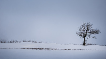 A lone tree standing on a hill surrounded by snow and dark clouds in the sky.