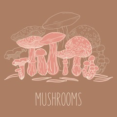 Vector illustration with pink mushrooms and pine needles. Hand drawn card on brown background