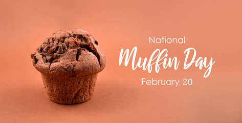 National Muffin Day. Chocolate muffin isolated on a brown background. One delicious muffin stock...