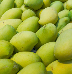 Mango on the market as a background