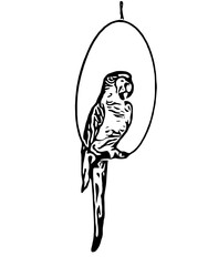 illustration of a  parrot in a loop