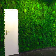 green moss wall in the lobby of a modern office