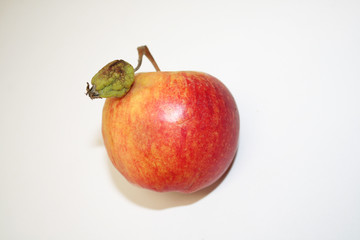 Apple with a small apple on a branch on a white background