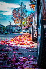 Autumn colors in the city.