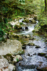 River stream in the natural reserve of Morigerati